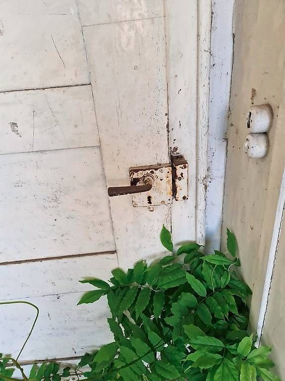 Porte: Vintage Türe – Usato da Hägendorf venduto da Moni-F 1