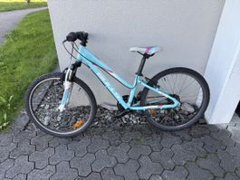 Bulls Tokee 24 Zoll Velo für Kinder/Jugend