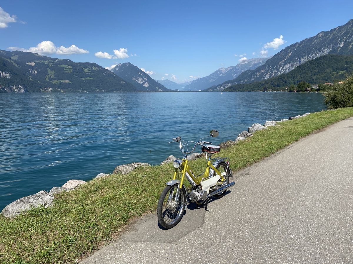 Puch Ciclomotori: Puch Maxi N – Usato da Gwatt (Thun) venduto da omega87 2