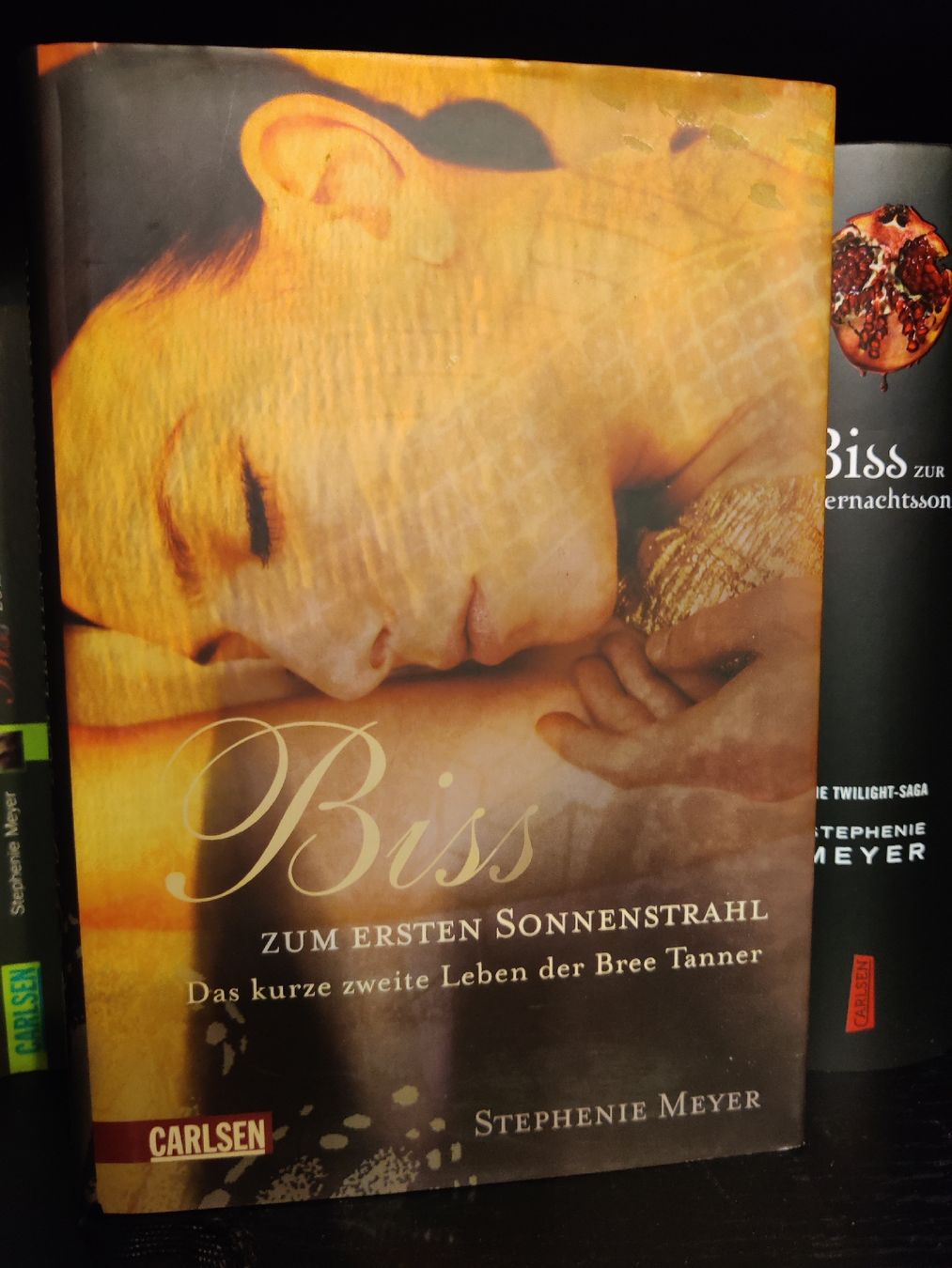 Libri: Stephenie Meyer Biss-Romane inkl. 4 Notitzbücher – Usato da Domat/Ems venduto da Shiekah2102 8