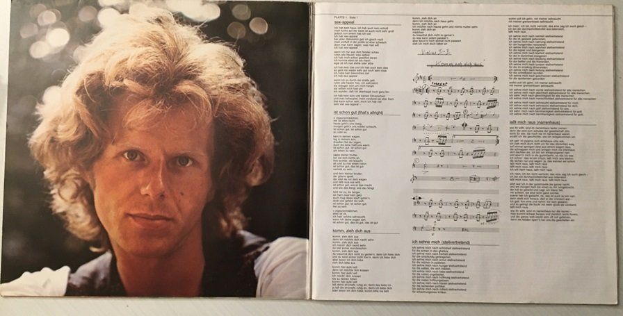 Dischi in vinile: Georg Danzer - Liederbuch (2 LP's) – Usato da Grüningen venduto da azulgrisvinyl 2