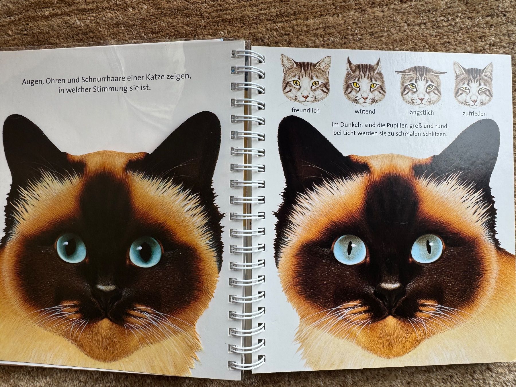 Libri: Meyers - Die Katze – Usato da Aarau venduto da Kilauea 4