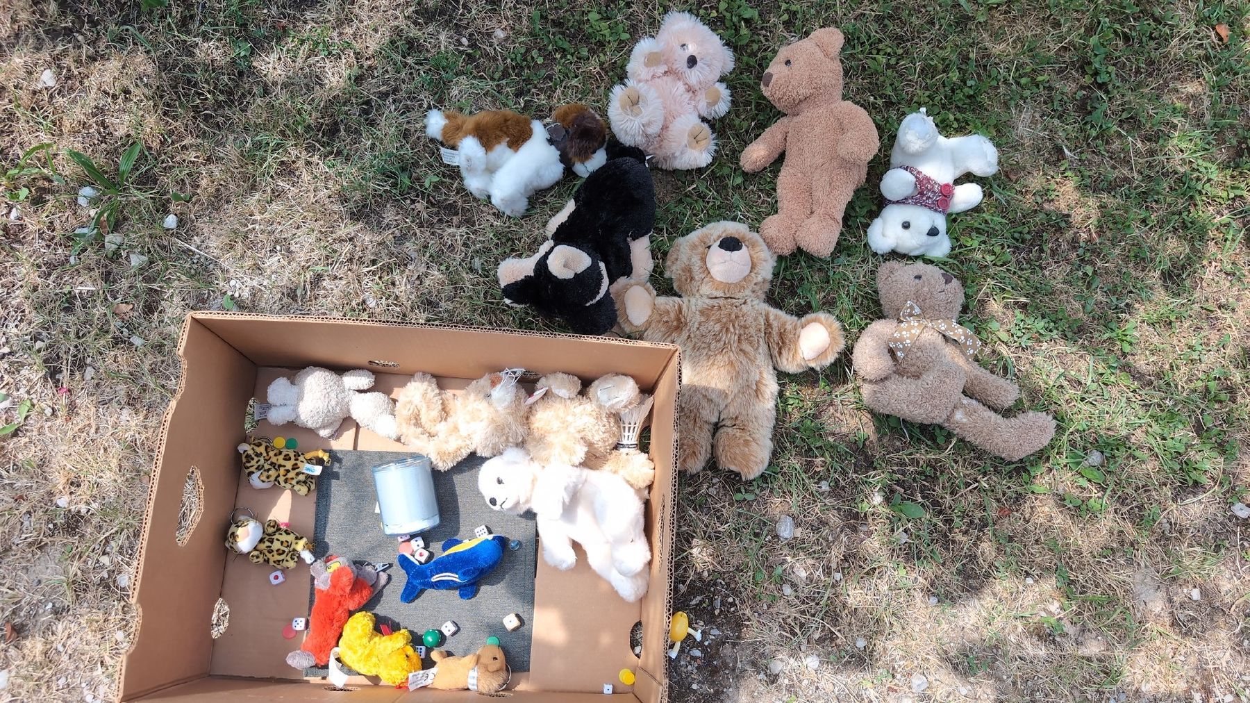 Giocattoli: Stofftier Bären Hunde Leoparden diverses – Usato da Oltingen venduto da gys_2yjc