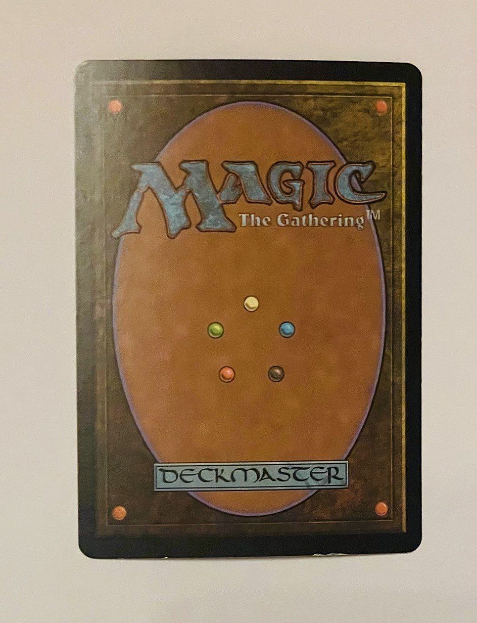 Magic The Gathering Carte collezionabili: Magic the Gathering Plains Foil Unhinged 2004 – Usato da Duggingen venduto da nad_6yzh 1
