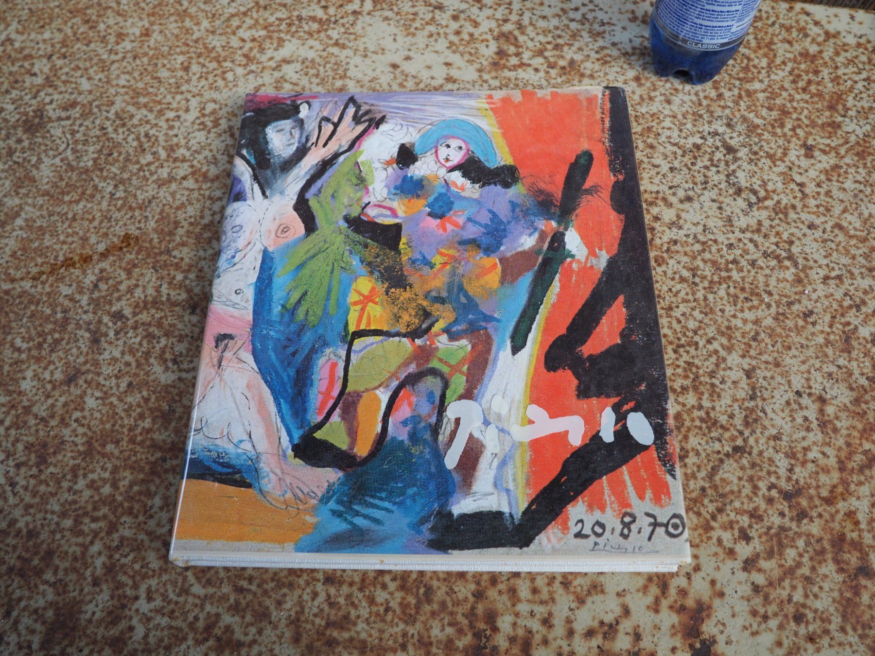 Livres: Picasso Buch – D'occasion à Schänis par Wewu