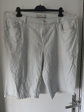 Damen Shorts gestreift Grösse 48 guter Zustand