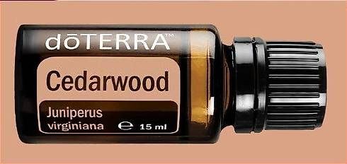 Oli essenziali: Cedarwood DoTerra - 15 ml – Usato da Medeglia venduto da kat-ugo