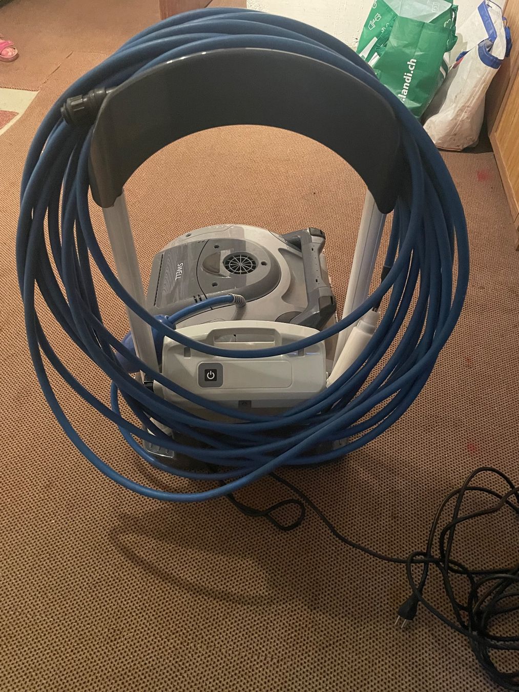 Dolphin Accessori per Piscine: Poolroboter Dolphin Swell – Usato da Glashütten venduto da clheiniger 3