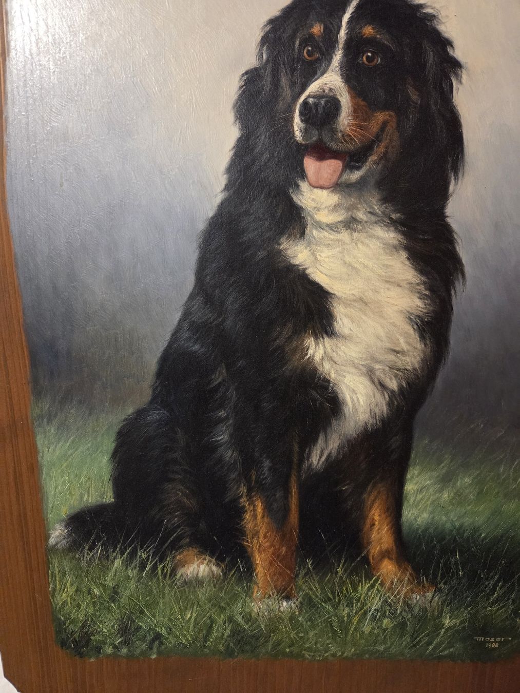 Dipinti: Marcel Moser Wildmaler BERNER SENNENHUND – Usato da Sevelen venduto da ViaFalo 3