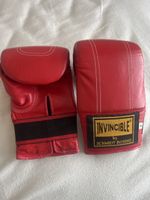 Top Zustand: Schmidt Boxing Invincible Boxhandschuhe🥊