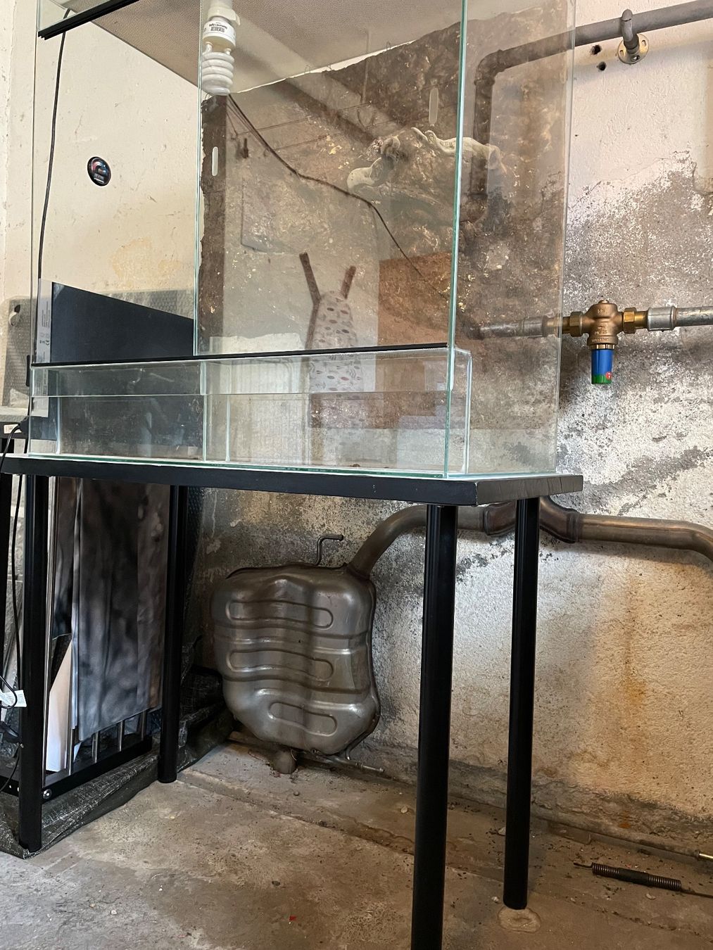 Terrarium: Terrarium 80x45x80 avec sa table en support – Gebraucht aus Monthey von rma_m72q 1