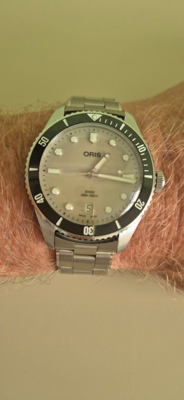 Oris Montres: ORIS DIVER 39mm, BAR 20, 39MM. Beige – D'occasion à Wädenswil par leonie59 2