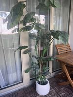 Künstliche Monstera Pflanze im weissen Topf