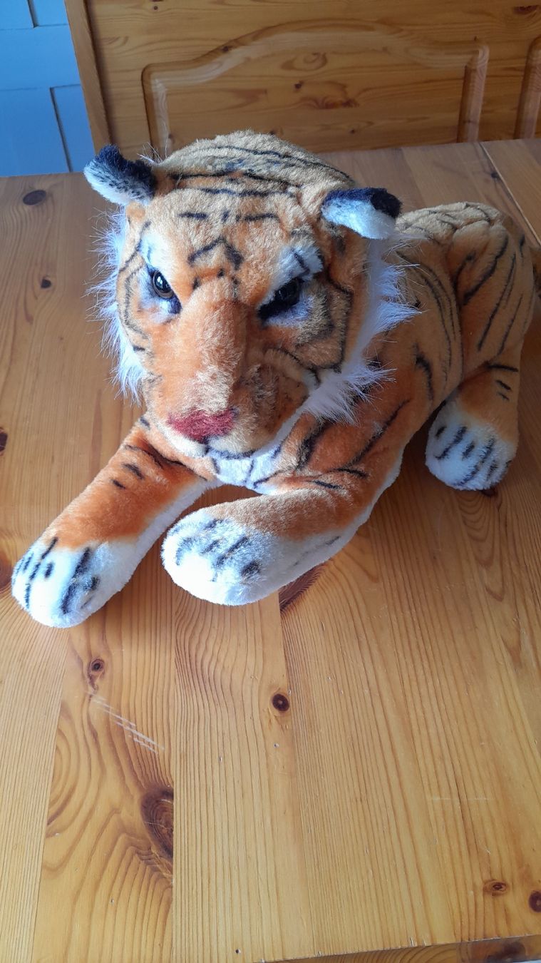 Giocattoli: Plüschtiere Tiger – Usato da Nesslau venduto da Churfirsten08