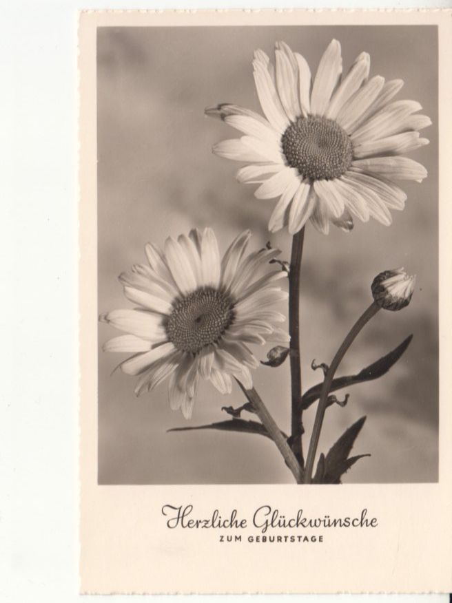 Cartoline postali: Gückwunschkarte 1957 – Usato da Bürglen TG venduto da StampGraf