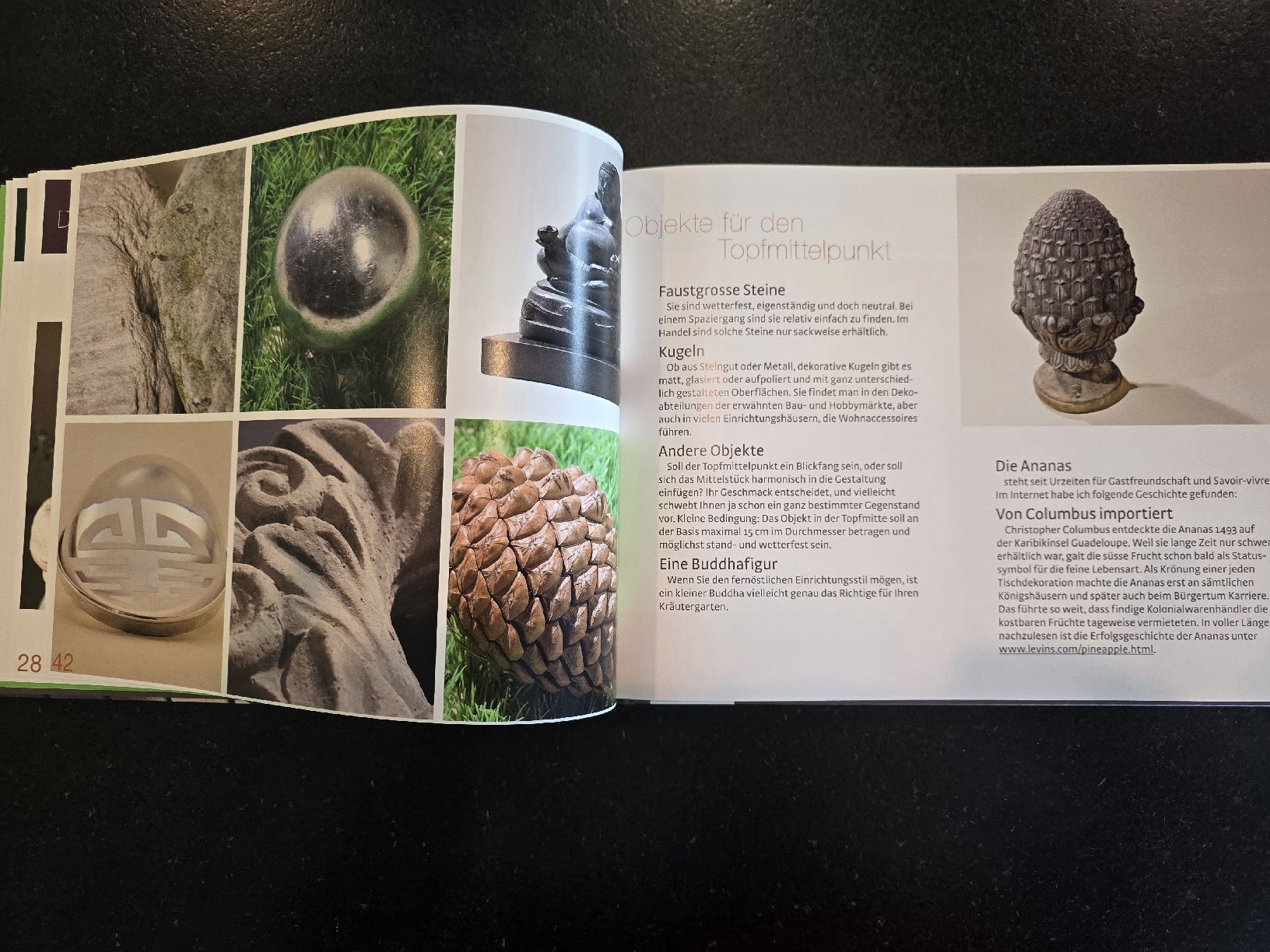 Libri: Kräutergarten Design (Herbarella alias Simone Quast) – Nuovo (secondo la descrizione) da St. Gallen venduto da charly92 7