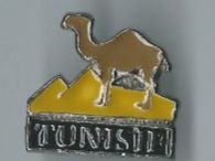 Tunesien Kamel Pin