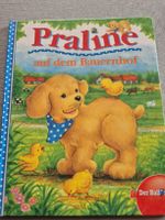 Kinderbuch Praline auf dem Bauernhof guter Zustand