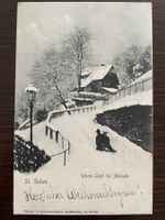ST. GALLEN Winter-Idyll b. Mühleck / Mühlegg, SCHLITTENFAHRT