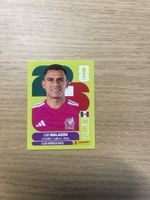 Panini FIFA WC MEX 2