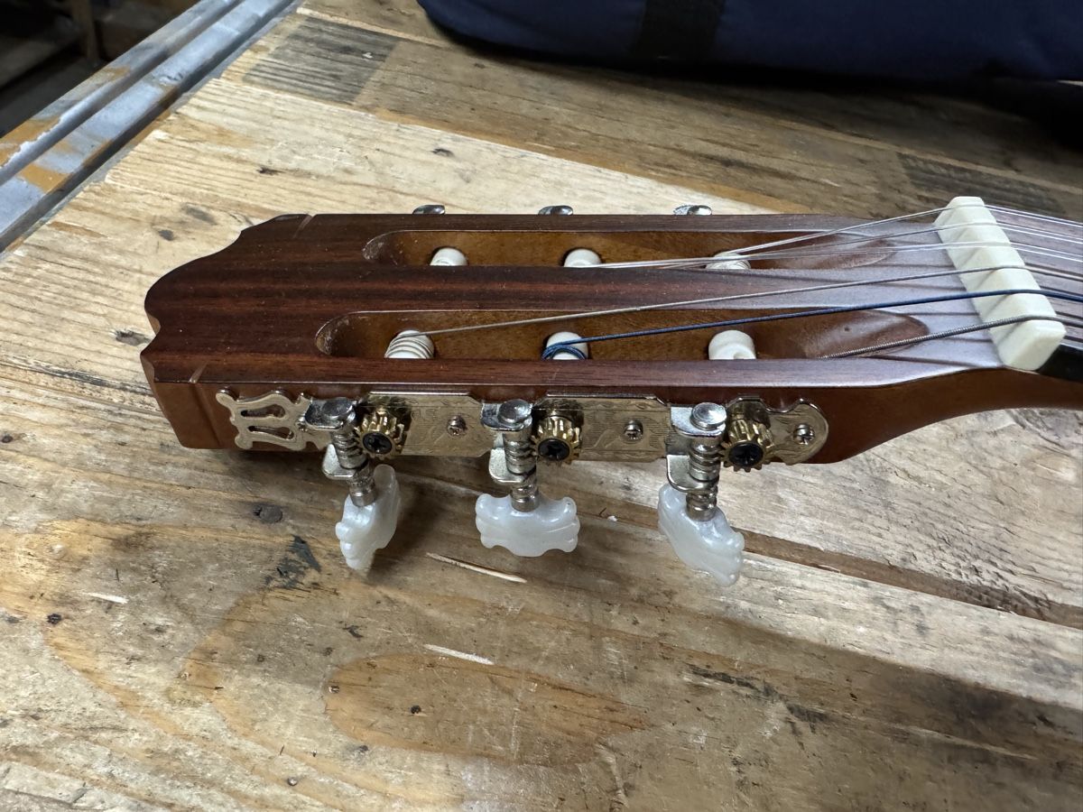 Strumenti musicali: Gitarre Walden 320 TW – Usato da Brienz BE venduto da soto718 2