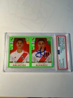 Julian Alvarez Rookie Sticker Panini Fifa 365 2019 Autograph
