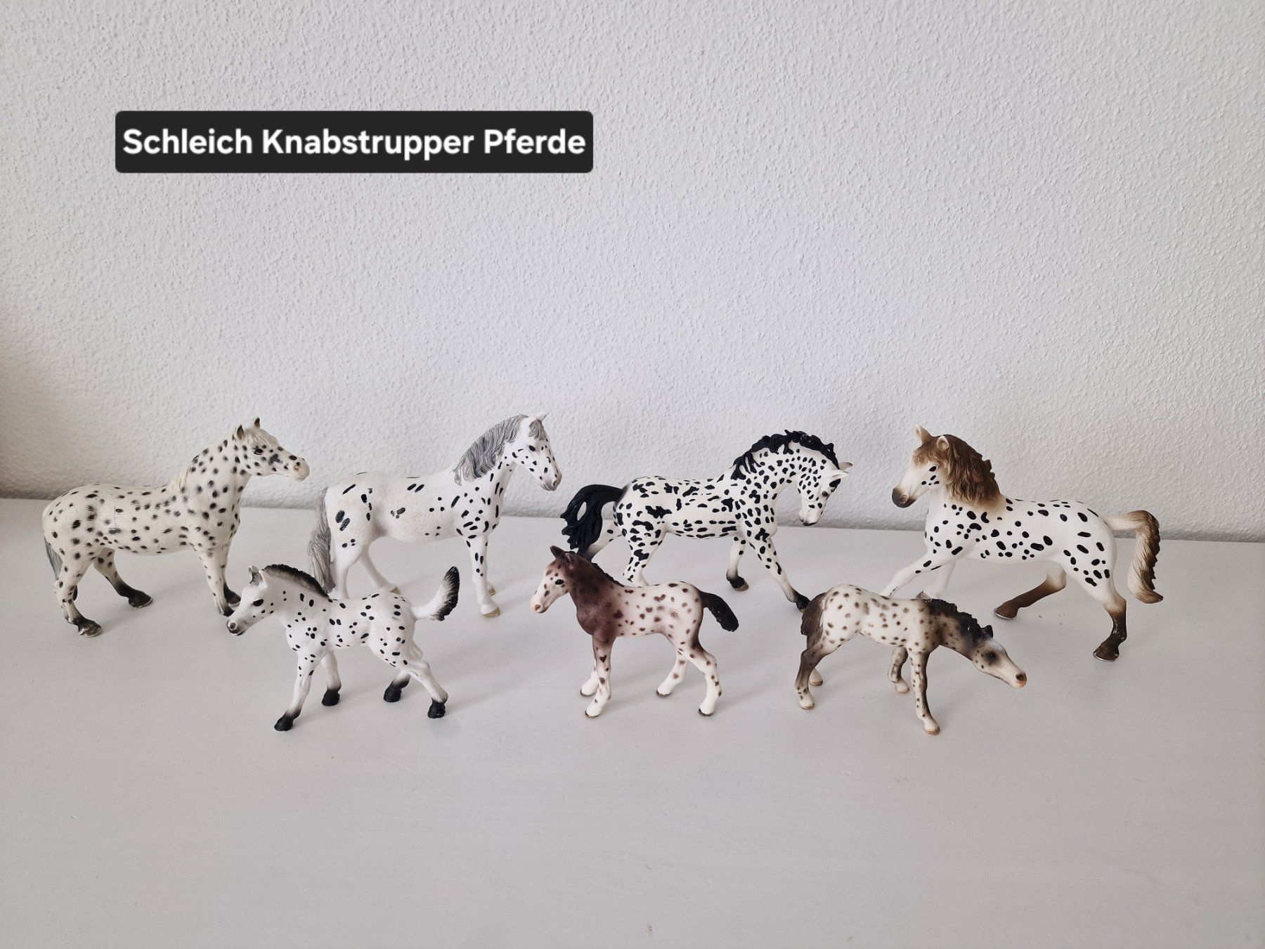 Schleich Figurines: Grosse Schleich Knabstrupper Familie – D'occasion à Root par Tanja.st