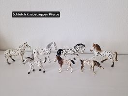 Grosse Schleich Knabstrupper Familie