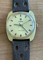 VINTAGE ROAMER VANGUARD 1970er HANDAUFZUG MIT 17 JEWELS