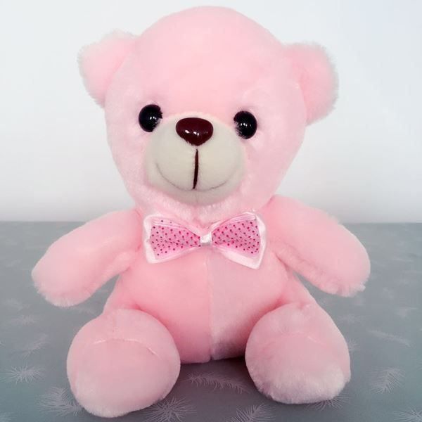 Spielzeuge: Teddy leuchtend mit LED - Superpreis!! – Neu und originalverpackt aus Diepoldsau von preisparadies-ch 5
