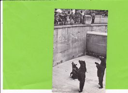 Bern-Bärengraben