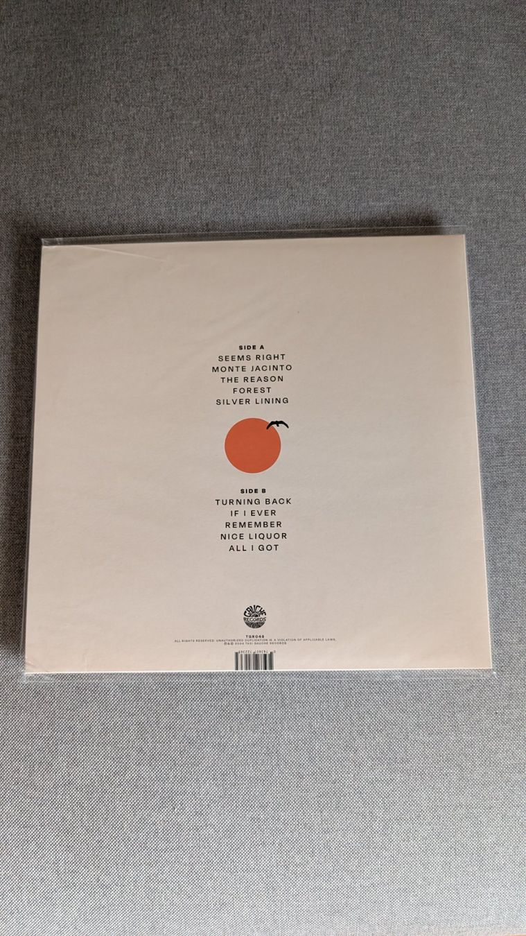 Schallplatten: Mount Jacinto - Silver Lining LP – Gebraucht aus Steinen von beatstick 1