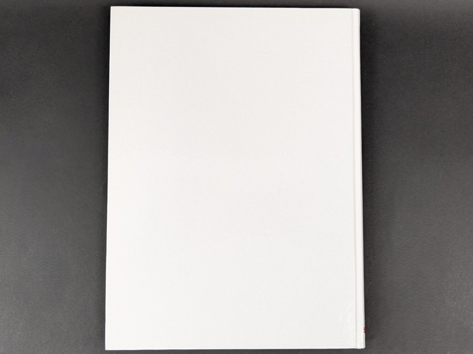 Libri: Monika Kellermann Kochbuch Vorspeisen – Usato da Dintikon venduto da Restwert_Dintikon 7