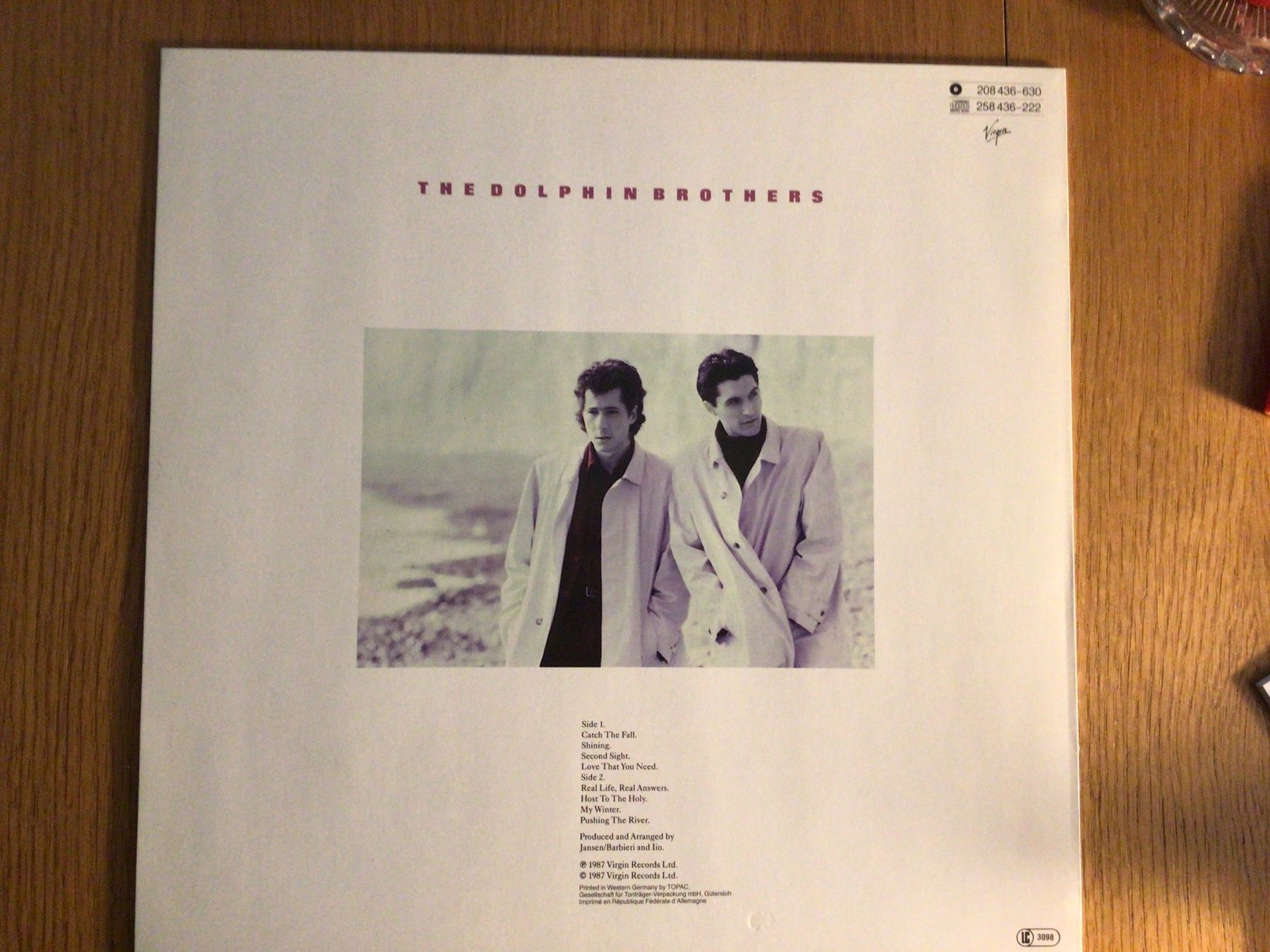Dischi in vinile: THE DOLPHIN BROTHERS, Catch the Fall, LP, 1987 – Usato da Steinach venduto da Quarkie 1