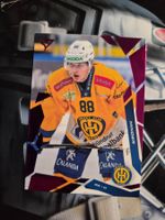 Tim Minder HC Davos 2025/26 Sportzoo Pink