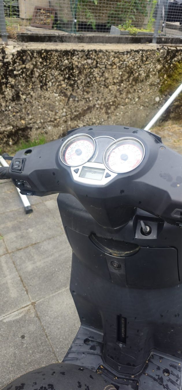Tell Scooters: TELL Logik 125 – Gebraucht aus Huttwil von Gucci-77 5