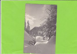 Winterlandschaft-Skiläufer--1916 ab St. Gallen