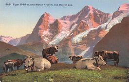 Eiger 3975 m und Mönch 4105 m von Mürren aus – "Mürren BE"