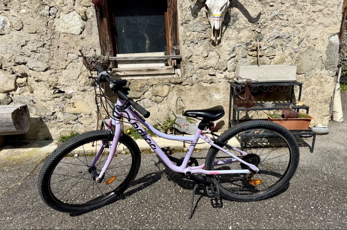 Naloo Velos: naloo 24 zoll – Gebraucht aus stallikon von Guetze1990