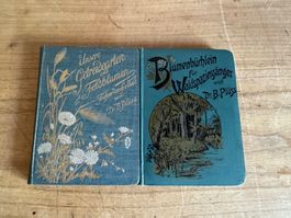 Buch Blumenbuchlein fur Waldspazierganger Dr. B. Pluss