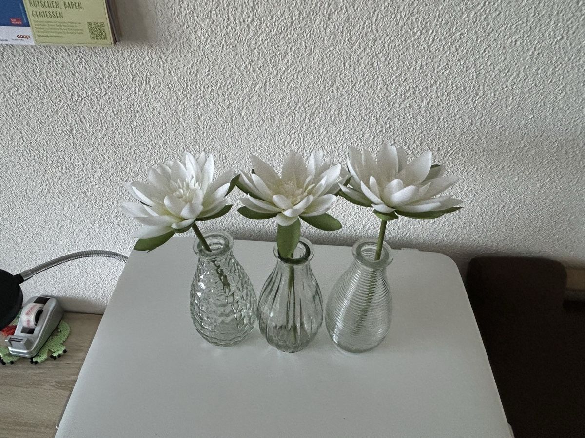 Plantes & graines: Blumen künstliche – Neuf (Voir description) à Tuggen par Nadia4488 1