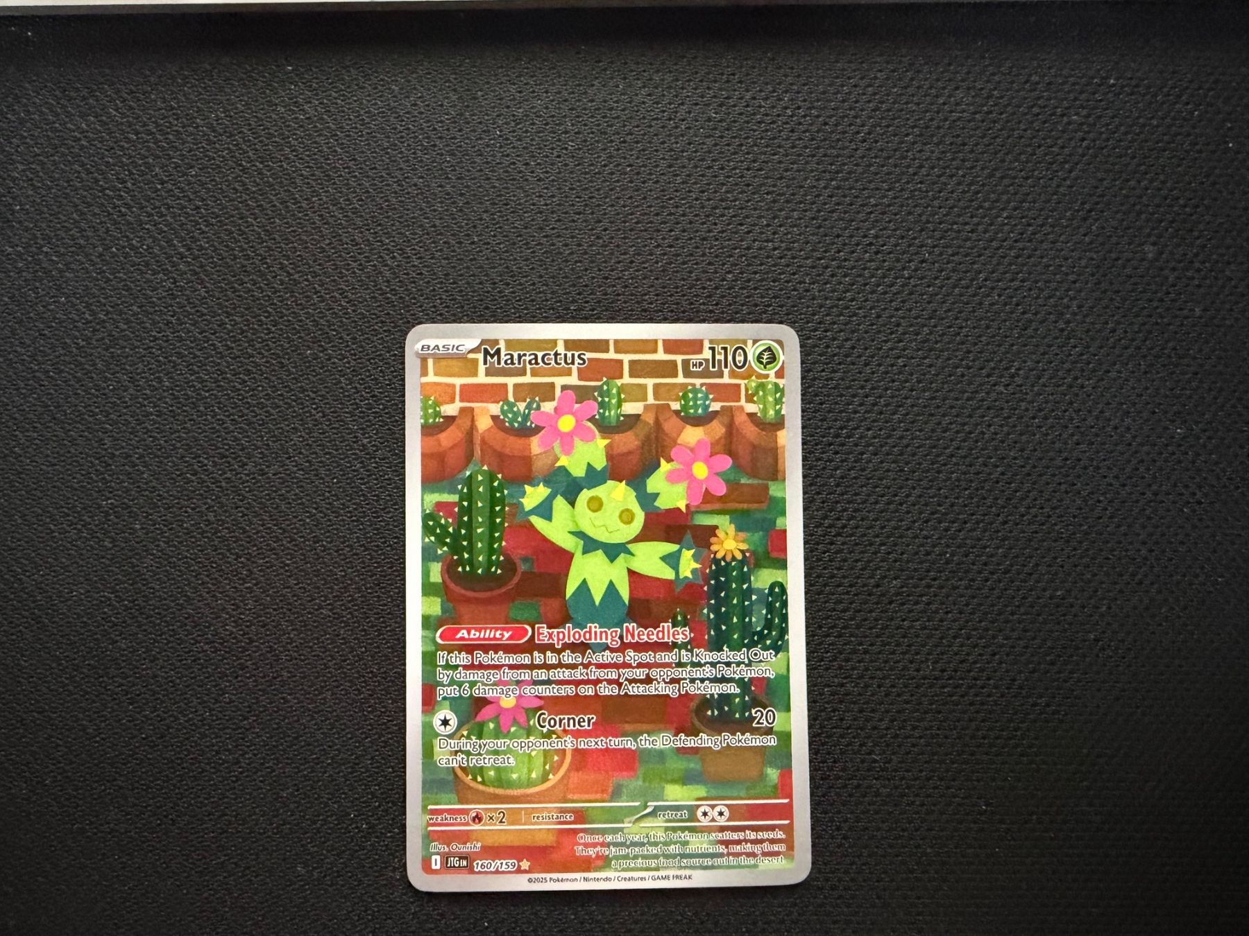 Pokémon Carte collezionabili: Maractus 160/159 – Usato da Zürich venduto da mountainwizard00