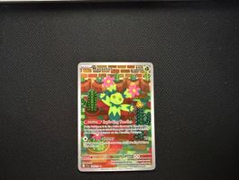 Maractus 160/159