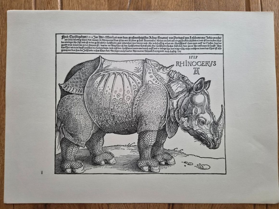 Bücher: Dürer: Sämtliche Holzschnitte | Grossformat-Mappe komplett – Gebraucht aus Frick von Connect9 2