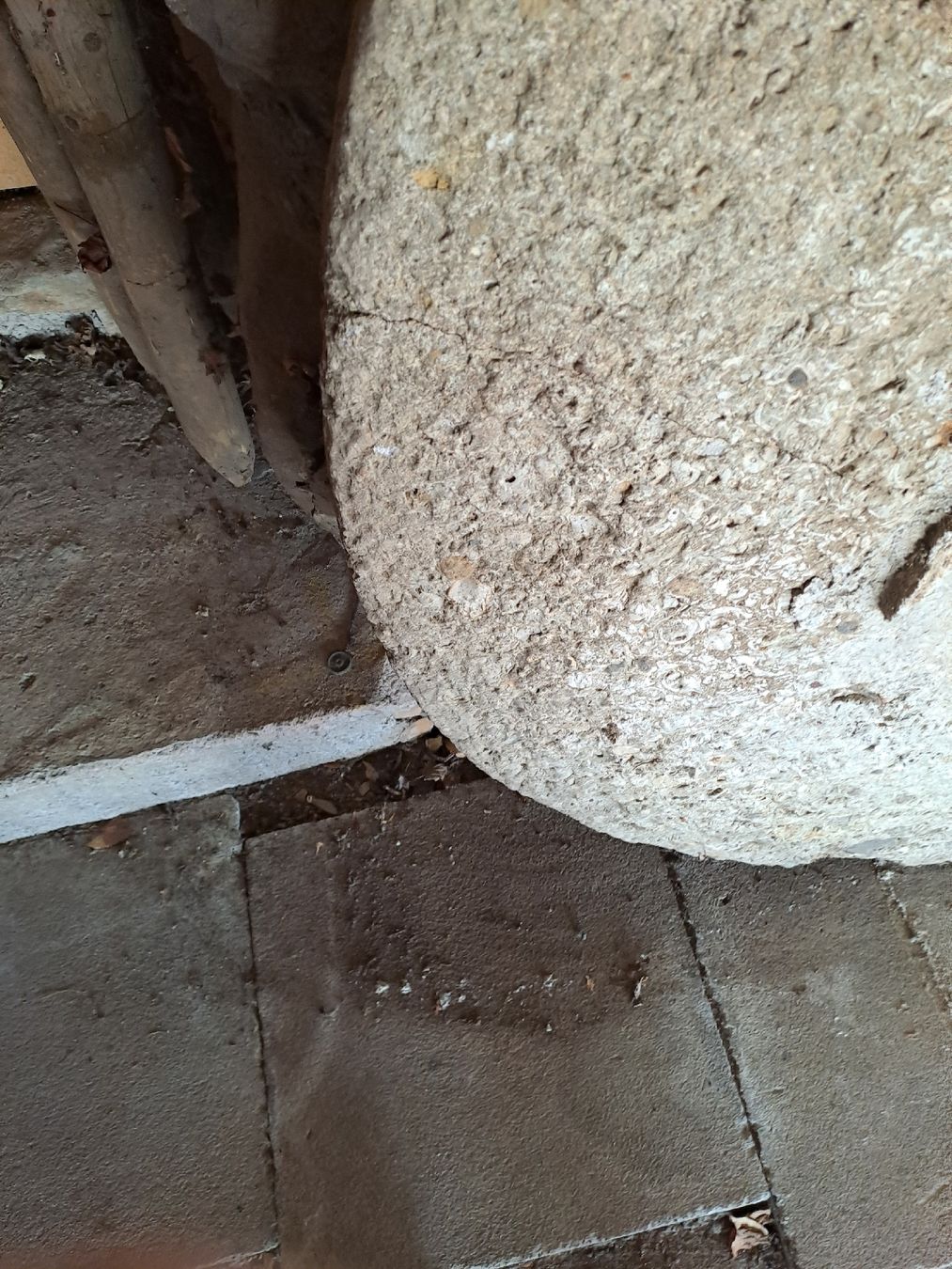Piatti di portata: Alte Betontischplatte – Usato da Belp venduto da jkunzi 5