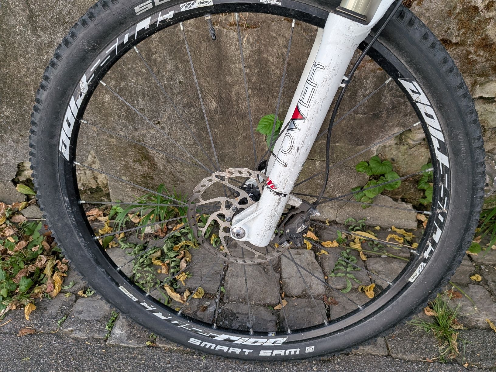 Thömus Biciclette: Thömus Bike – Usato da Bern venduto da Runner007 1