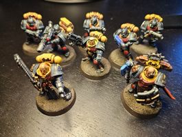 Warhammer 40K - Space Marine Pro Painted