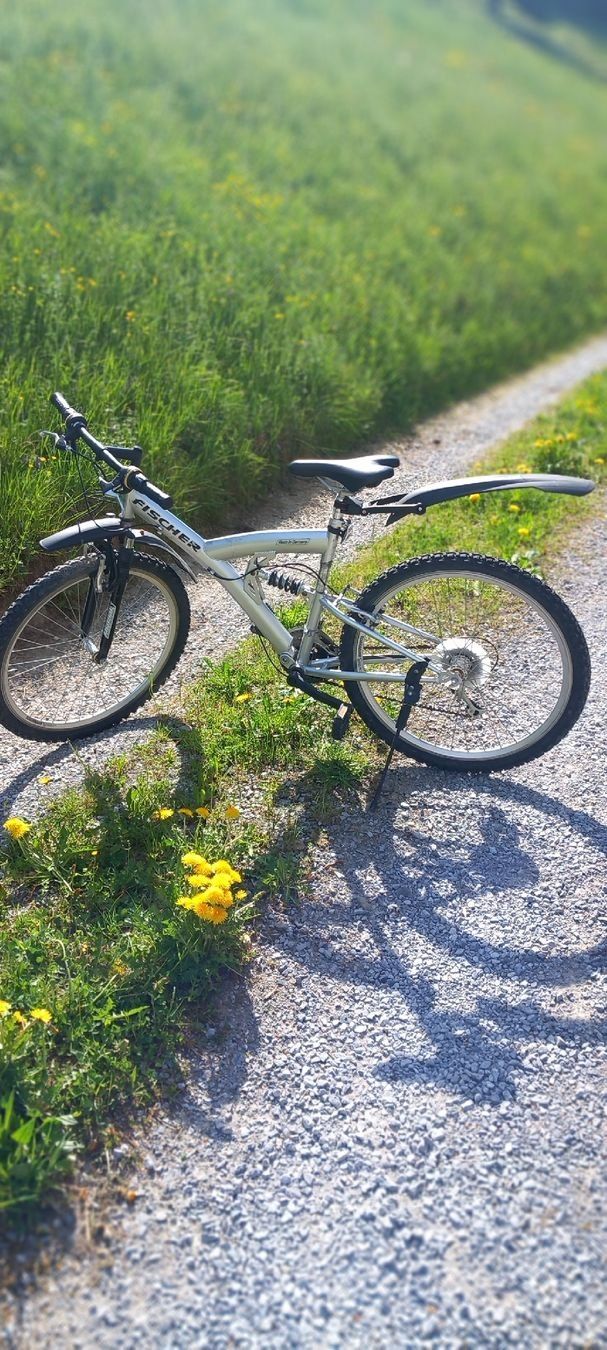 Fischer Biciclette: Fischer Mountainbike Silber – Usato da Ebnat-Kappel venduto da blazzi