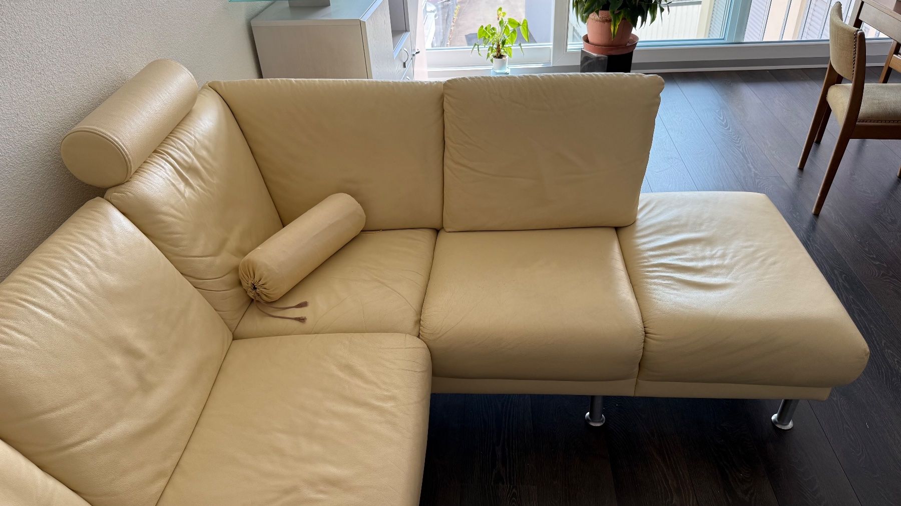 Divani: Echtledersofa – Usato da Wilen b. Wollerau venduto da gpanzera 1