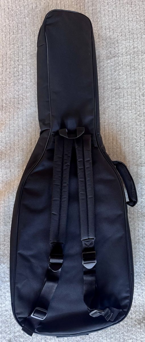 Strumenti musicali: JAWS E-Gitarre mit Aries/Widder-Design und inkl. Bag – Usato da Spiez venduto da Bu_Ji 6